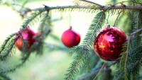 vánoce strom christmas-bulbs-2957820 1280